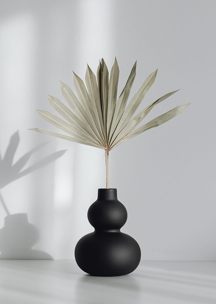 Czarny wazon i suszona palma jako minimalistyczna sztuka reklamy